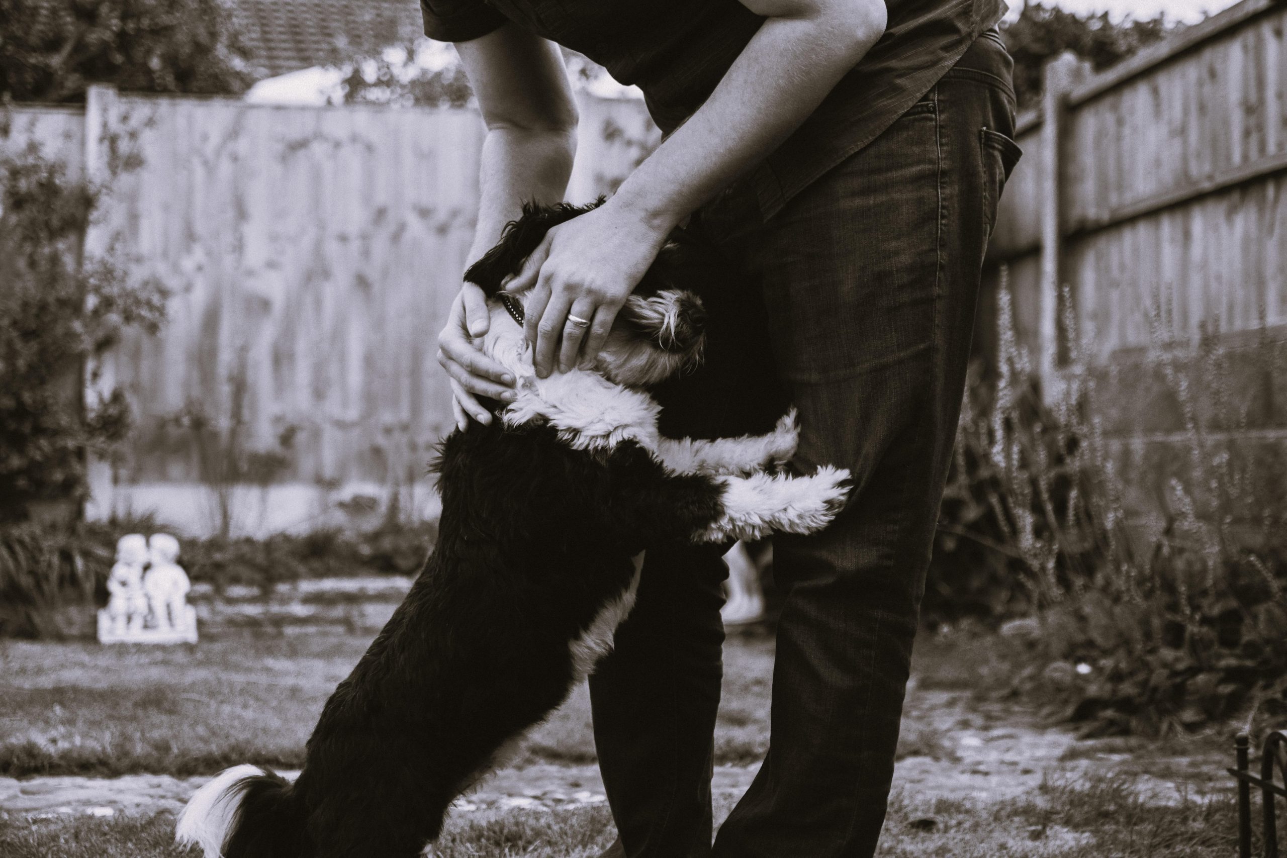 An older couple holding a farewell card for their dog Tessie